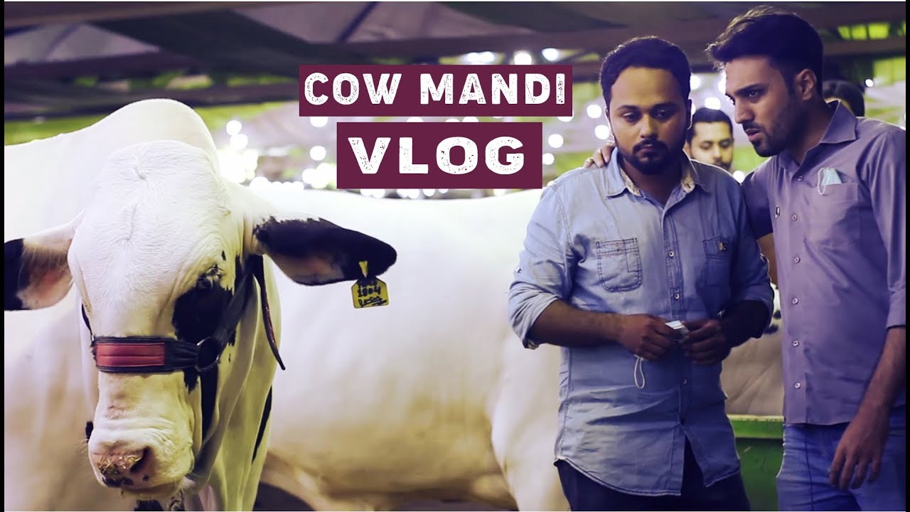 COW MANDI VLOG | BAKRA EID | THE IDIOTZ