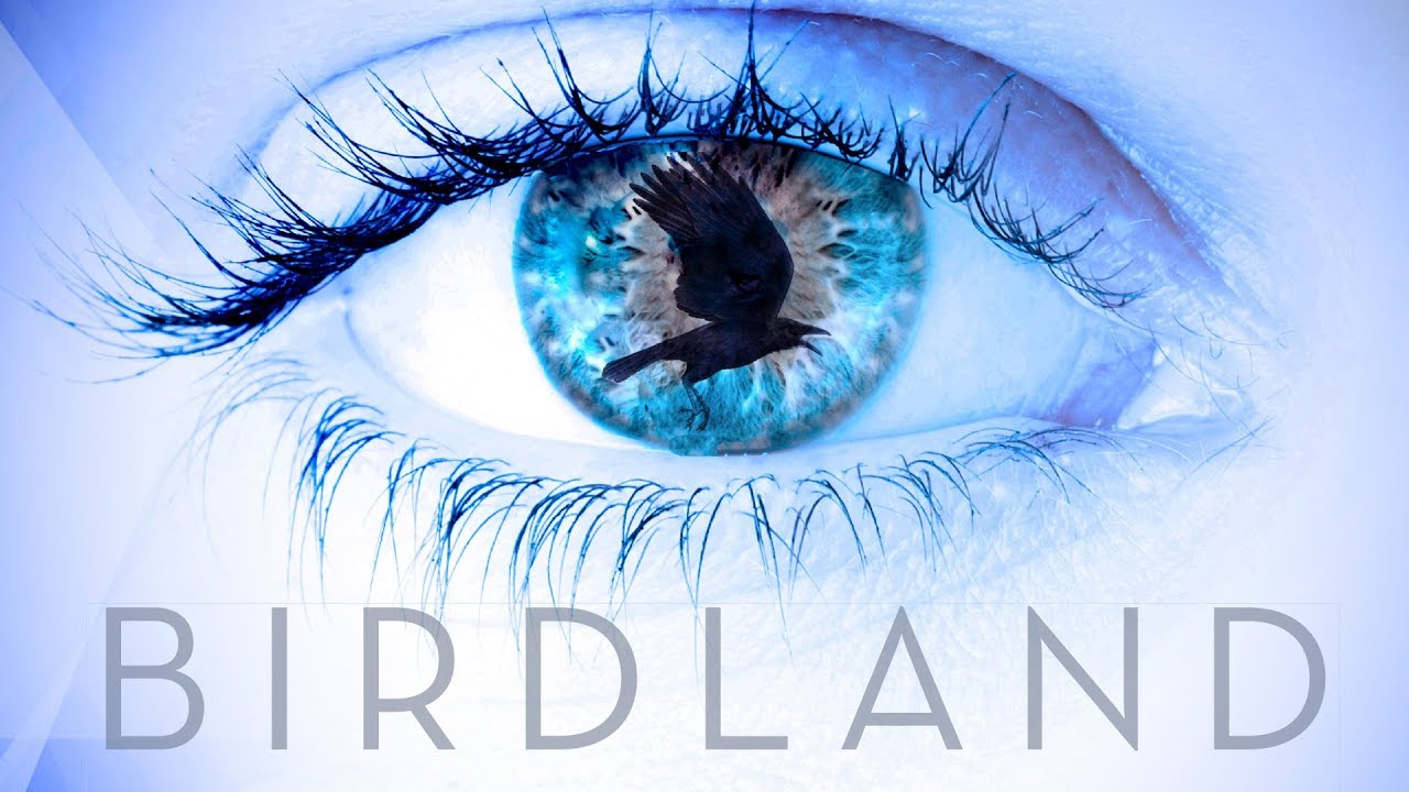Birdland - Espionage Thriller Trailer 2018