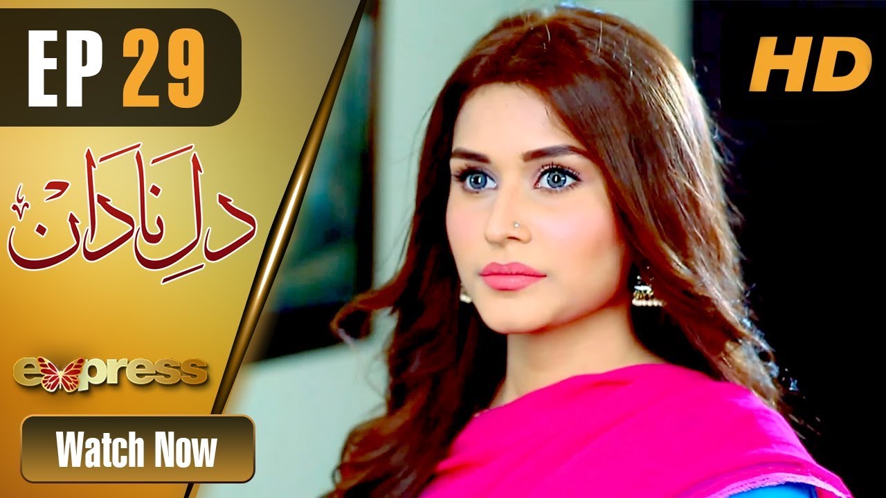 Dil e Nadaan - Episode 29