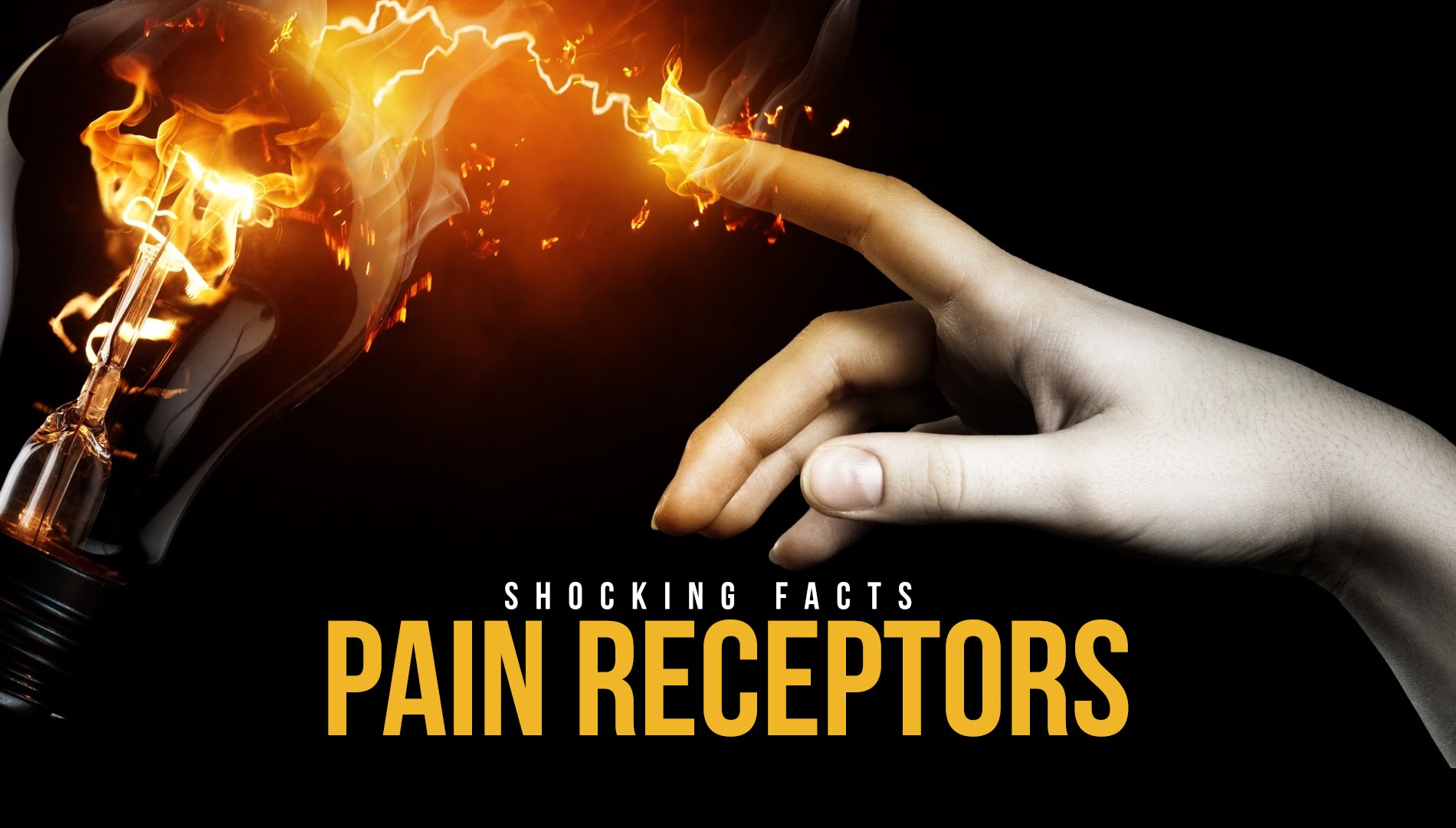 Pain Receptors - Shocking Facts