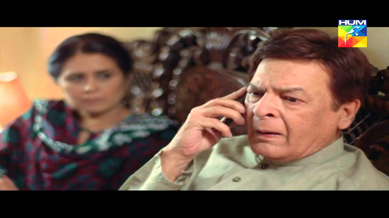 Haya Kay Daman Main Episode 9 Full HUM TV Drama 11 April 2016