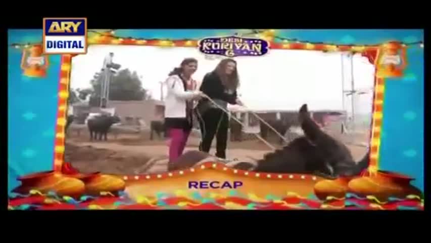 Desi Kuriyan Season 6 Episode 4