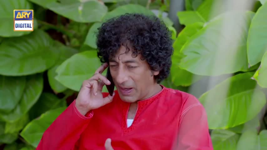 Dilli Walay Dularay Babu Ep 12 - 12th November 2016 - ARY Digital Drama