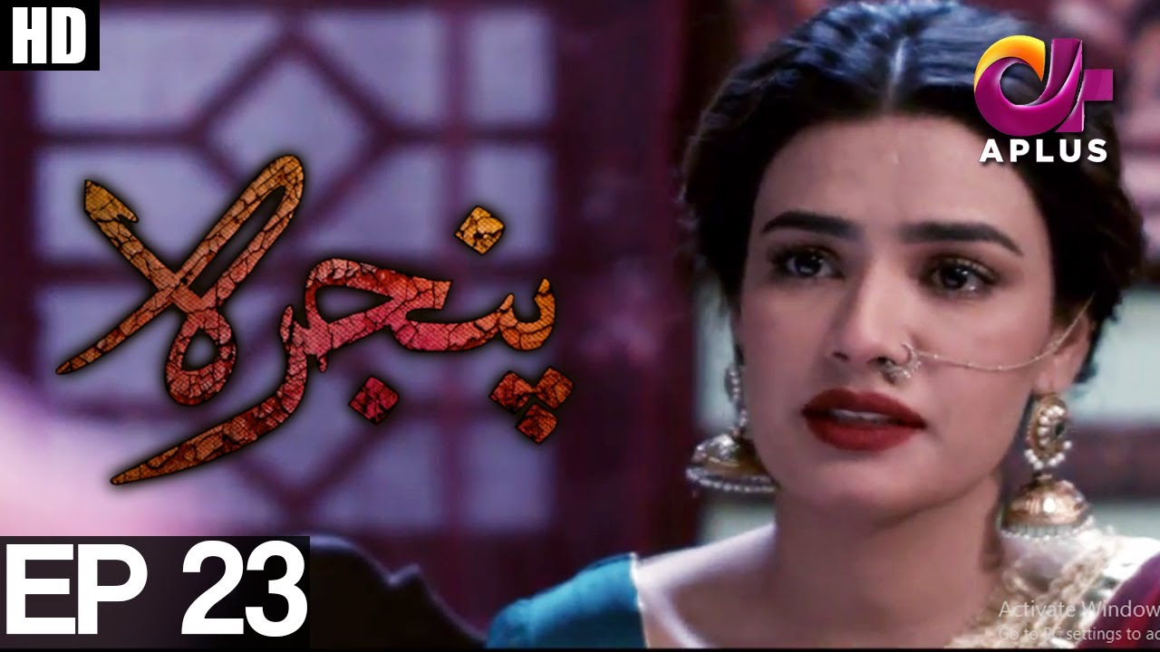 Pinjra Episode 23 | Aplus ᴴᴰ