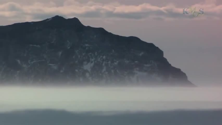 BBC Documentray 2015 /// National geographic animals