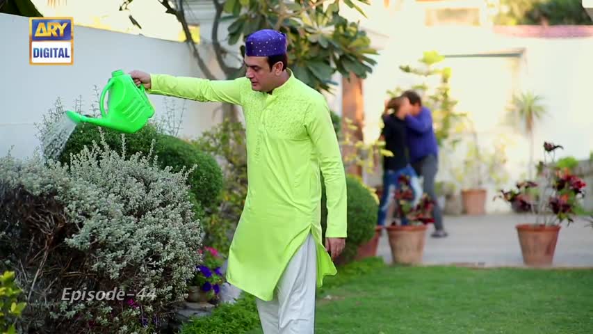 Dilli Walay Dularay Babu Ep 44 - 22nd July 2017 - ARY Digital Drama