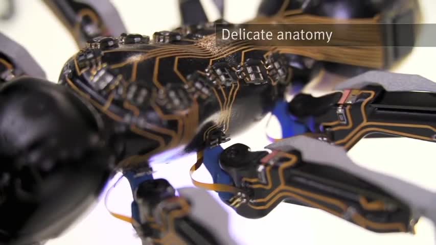 Amazing Robots That Really Exist