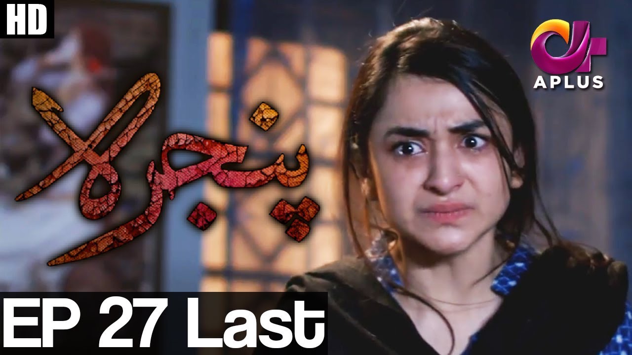 Pinjra - Episode 27 (Last) | A Plus ᴴᴰ Drama | Yumna Zaidi, Samina Ahmed, Hassan Niazi