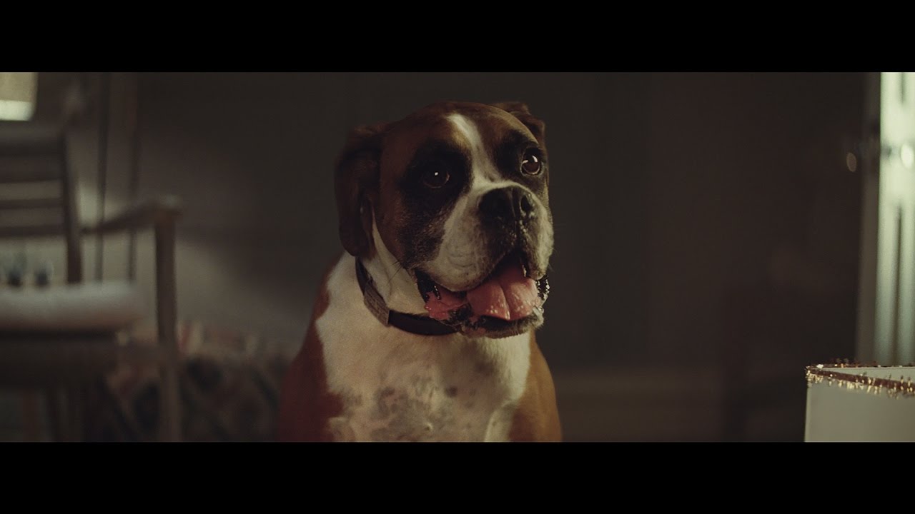 John Lewis Christmas Advert 2016 