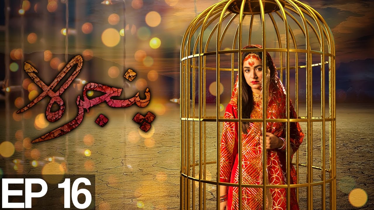 Pinjra - Episode 16 | Aplus