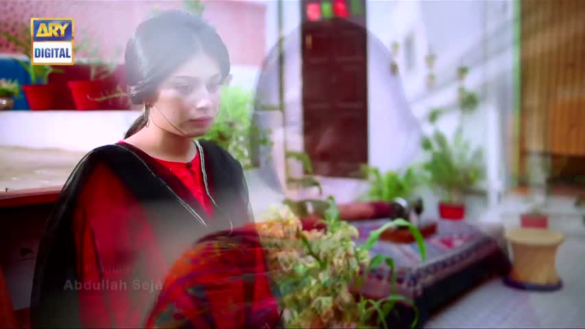 Mein Mehru Hoon Ep 65 - 24th October 2016 - ARY Digital Drama