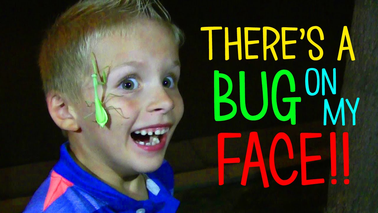 A BUG IS ATTACKING MY FACE!!!