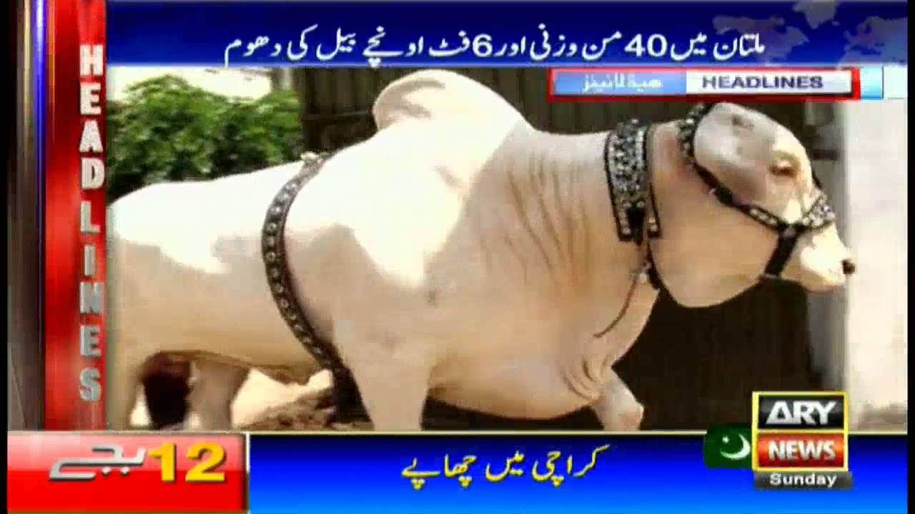 Headlines 1200 – 4th September 2016