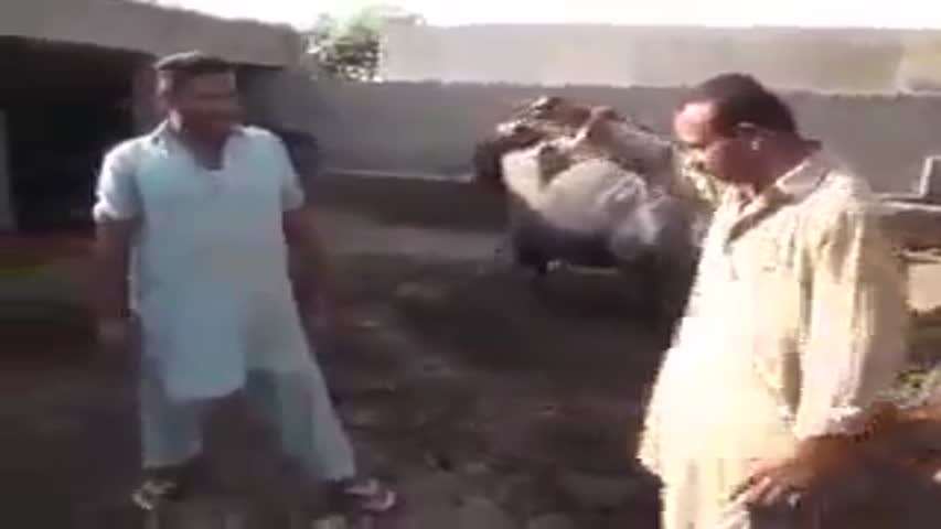 Oglasi za glazbeni konzalting u SAD-u