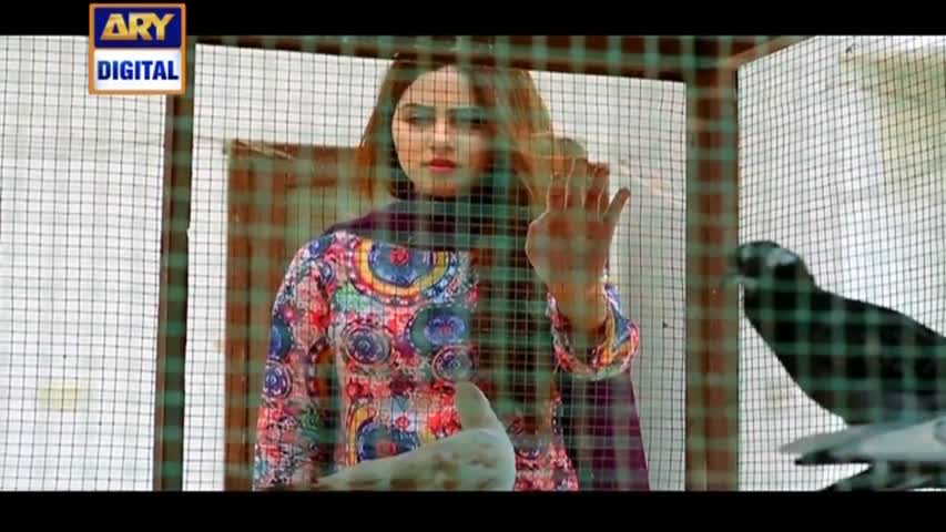 Rishta Anjana Sa Ep - 41 - 27th September 2016