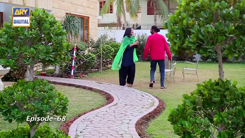 Dilli Walay Dularay Babu Ep 68