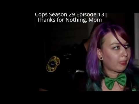 Cops S29E13 Thanks for Nothing, Mom mp4 Output 12