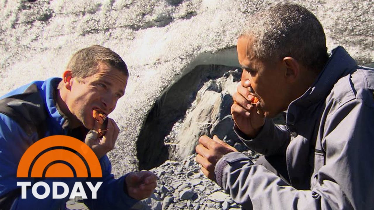 Obama Eats Salmon Gnawed On By An Actual Bear With Bear Grylls | TODAY