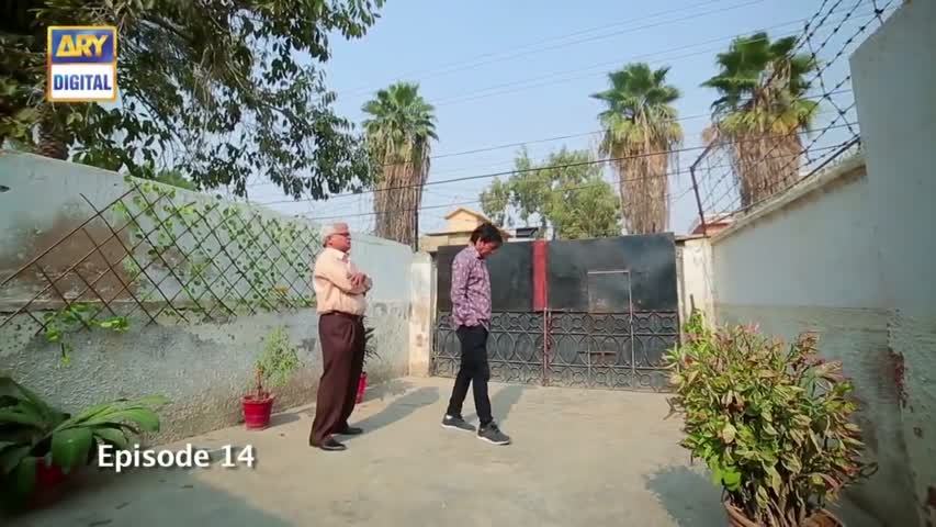 Bechari Nadia Episode 14 - 31st July 2018 - ARY Digital Drama