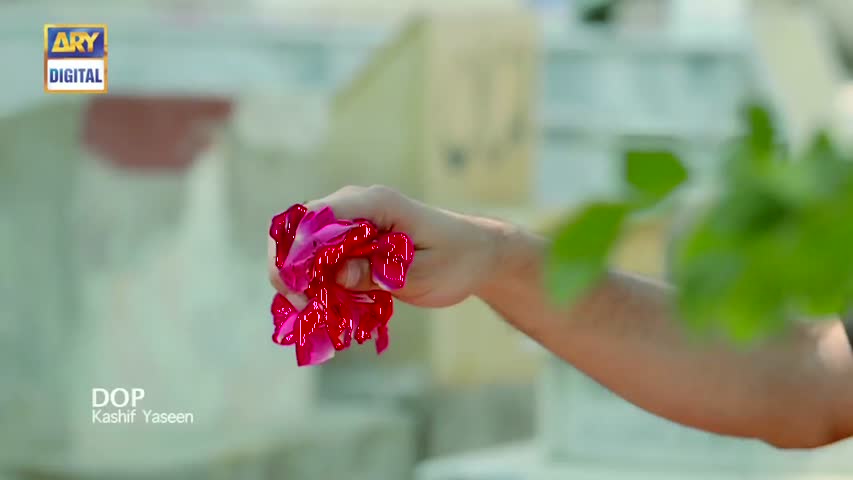 Iltija Episode 15 - 15th July 2017 - ARY Digital Drama