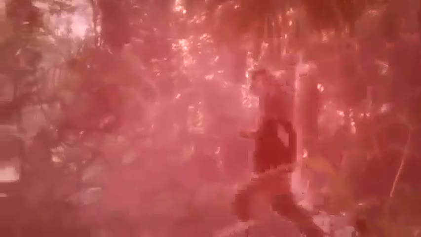 Beastmaster Season 2 Episode 21   Regeneration