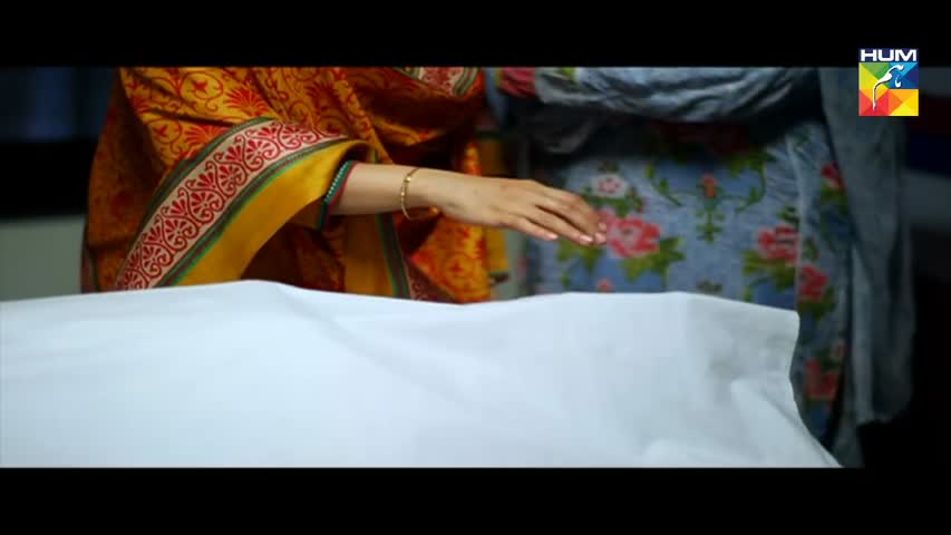 Adhi Gawahi Episode 13 HUM TV Drama - 16 August 2017