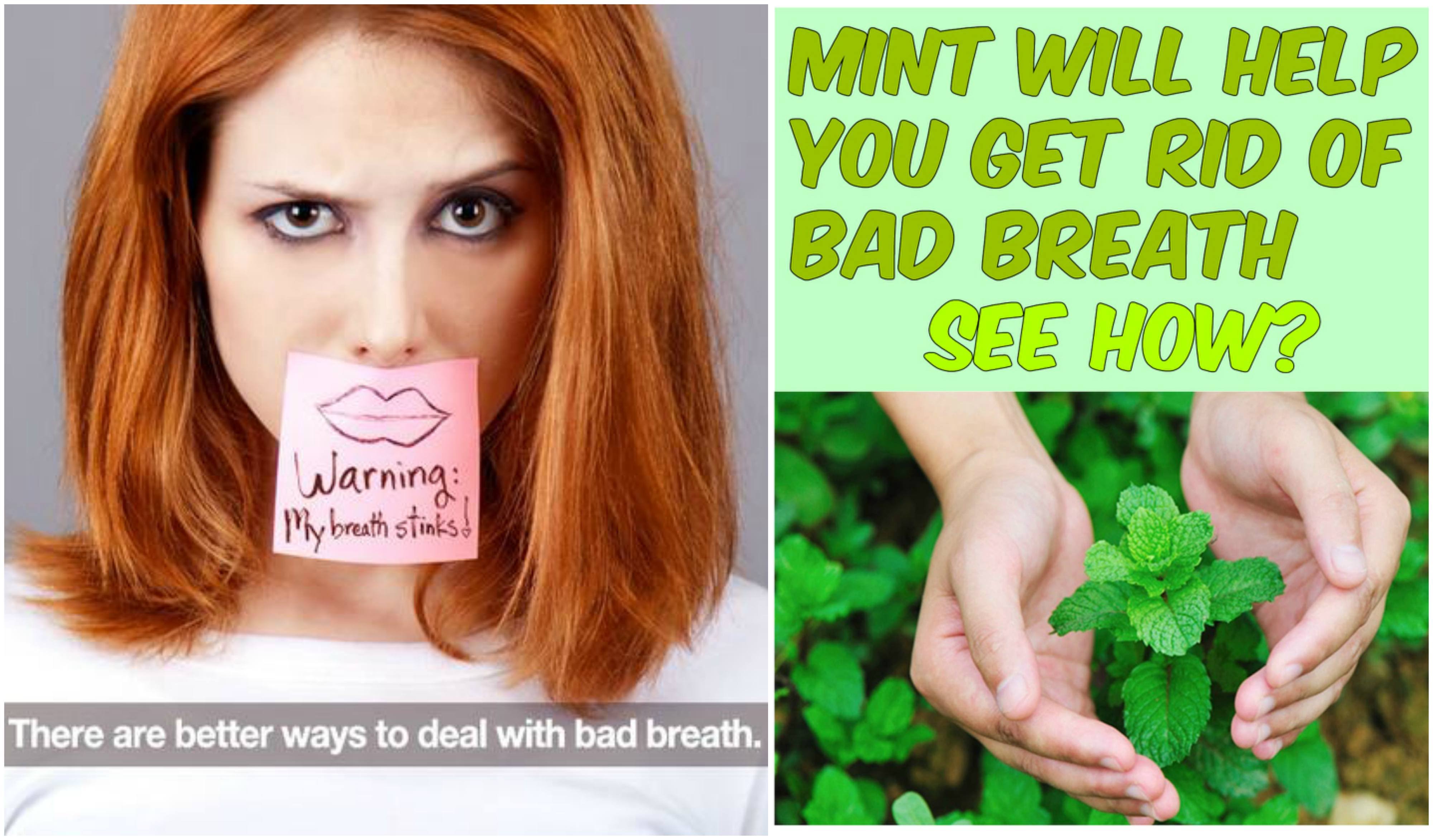 Effective Bad Breath Remedy - 100 % Working Mouth Smell Solution