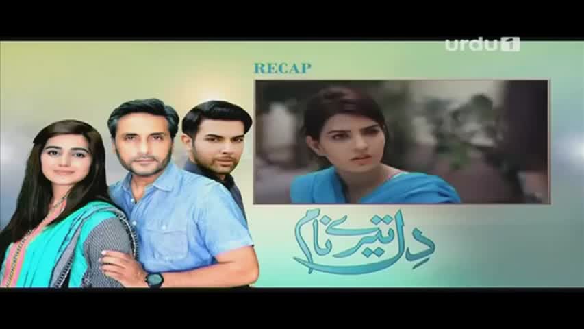 Dil Teray Naam Episode 7