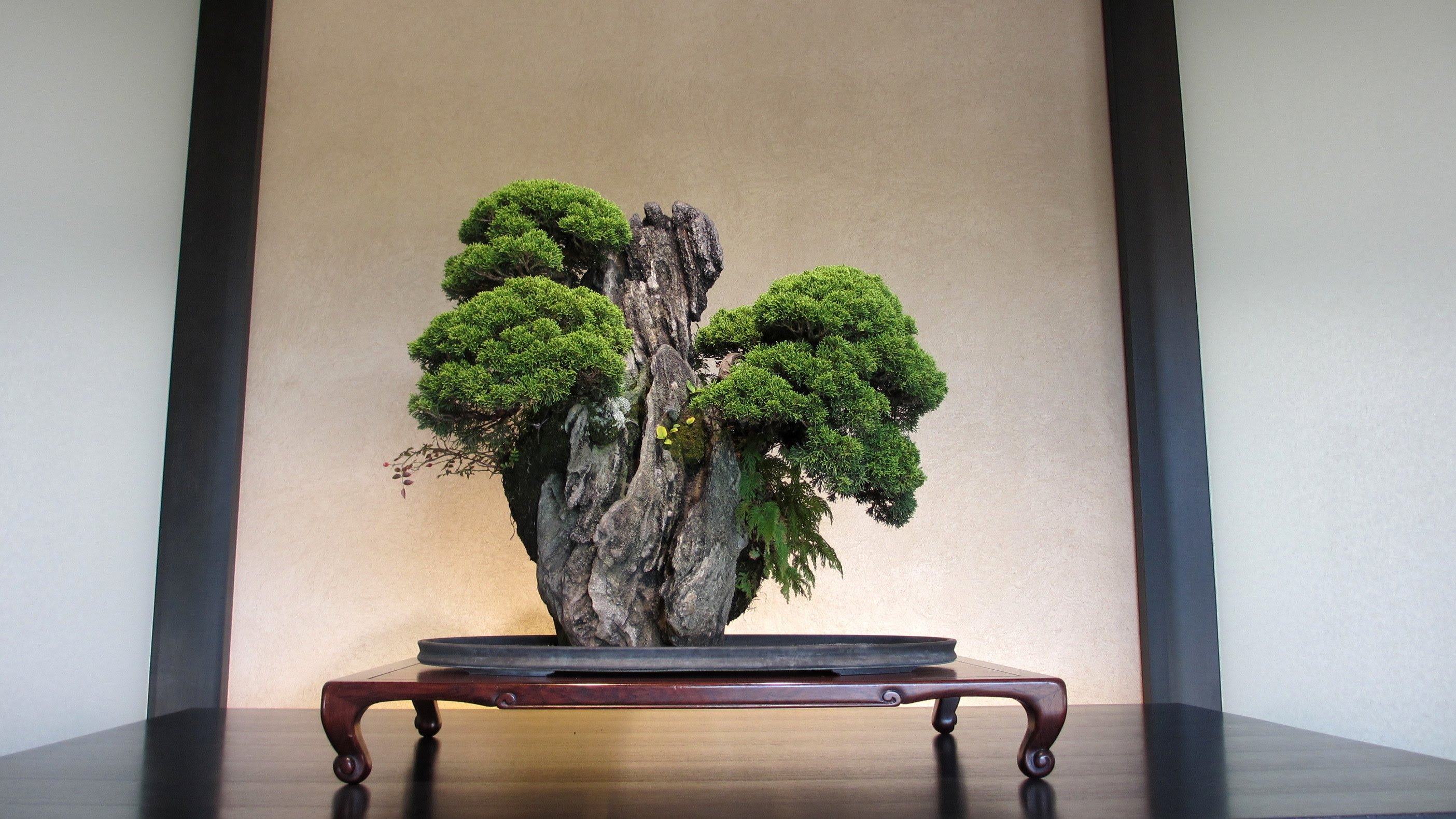 Omiya Bonsai Village