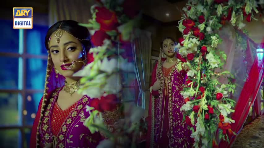 Shiza Ep 31 - 4th November 2017 - ARY Digital Drama