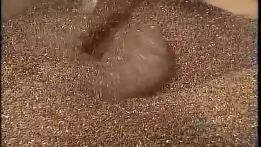 How It's Made, Vegetable oil.