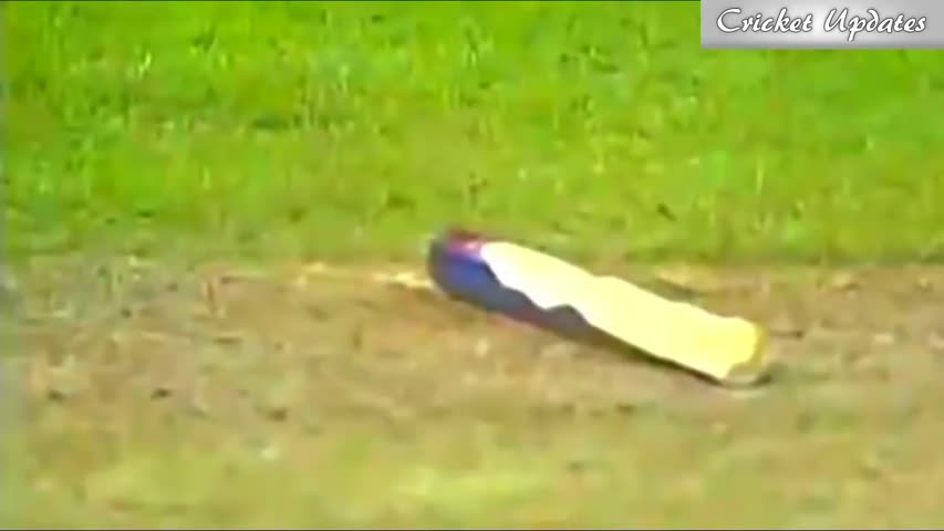 Best Destructive Pace Bowling in Cricket ● Stumps Broken ● Stumps Flying in Air ●