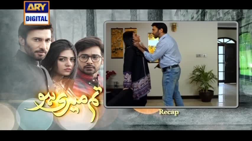 Tum Meri Ho Ep 14 - ARY Digital Drama