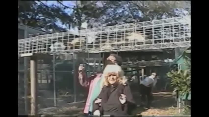 Animals Are Mean Sometimes