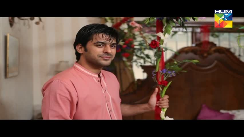 Mohabbat Mushkil Hai Episode 14 HUM TV Drama - 20 July 2017