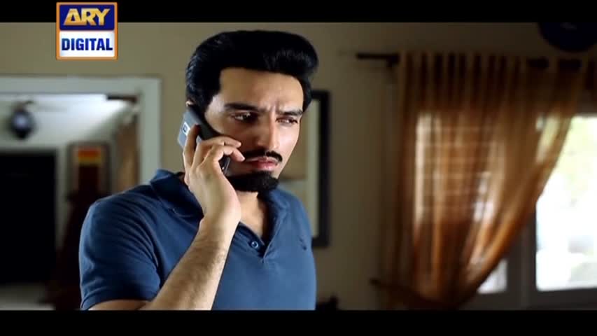 Besharam Ep 17 - 30th August 2016    ARY Digital Drama