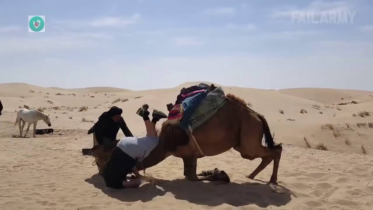 Funny videos 2016 - Best of failarmy - Try not to laugh