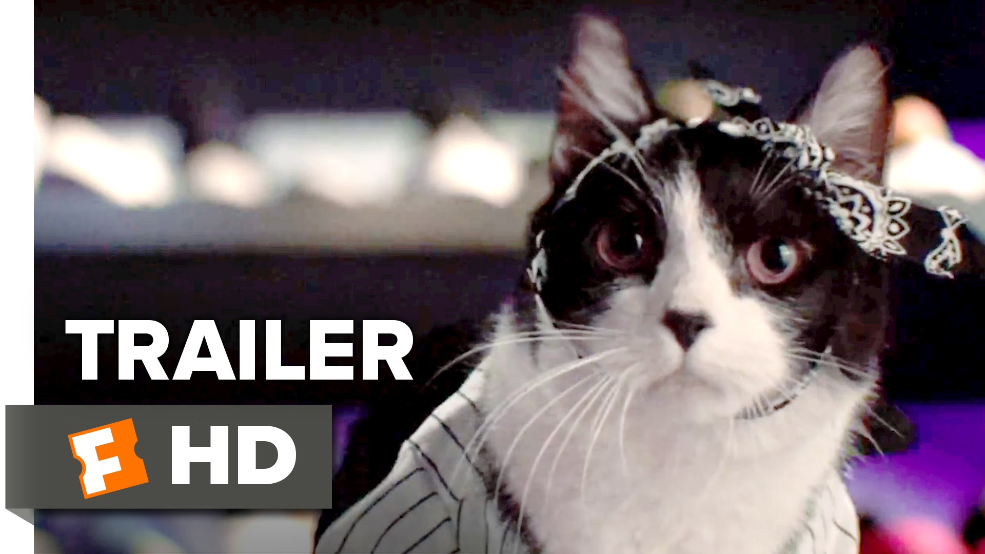 Keanu Official 'Kitten, Please' Spoof Trailer (2016) 