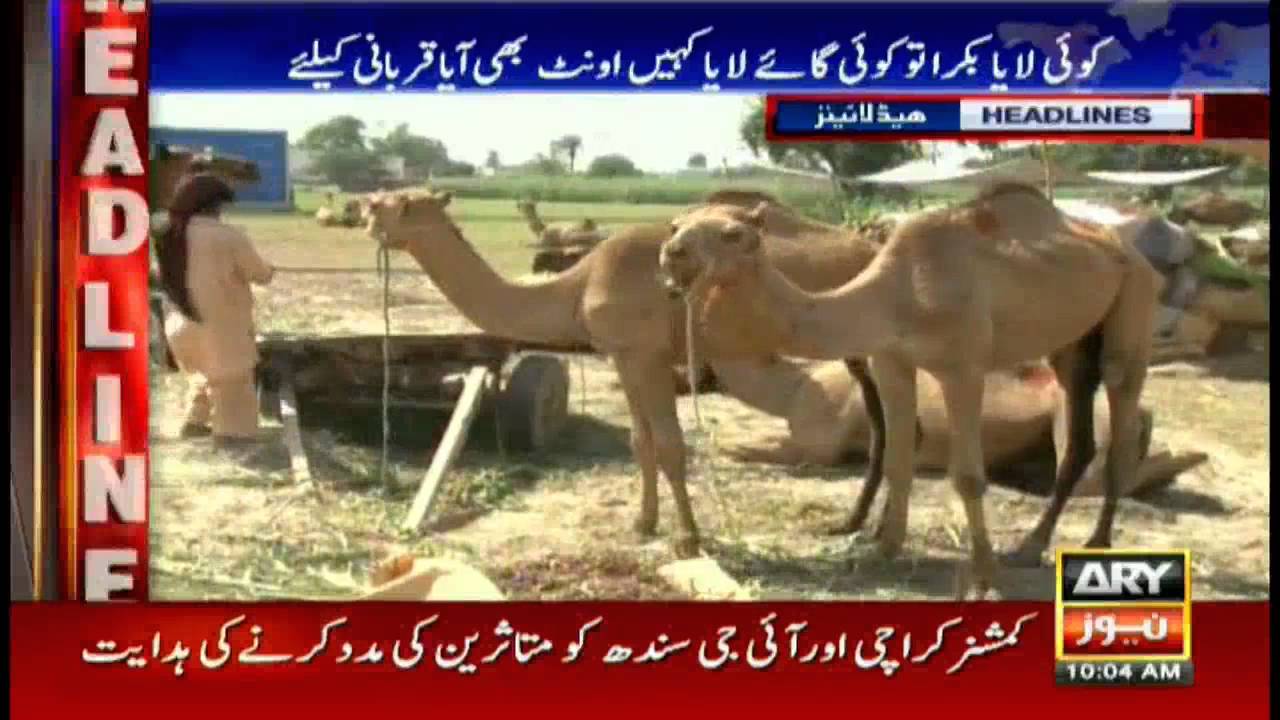 Headlines 1000 – 7th September 2016