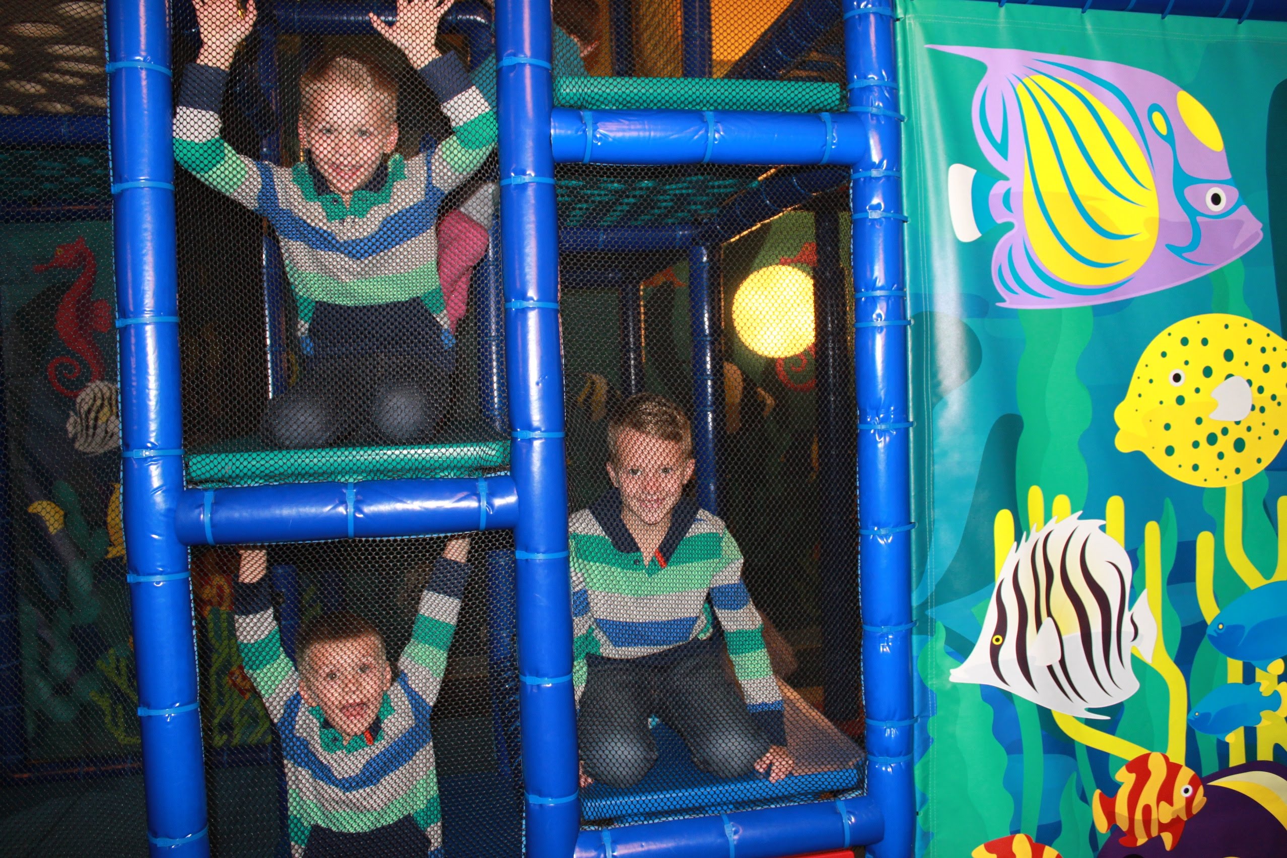 SEA LIFE Aquarium Behind-The-Scenes Tour & Fun