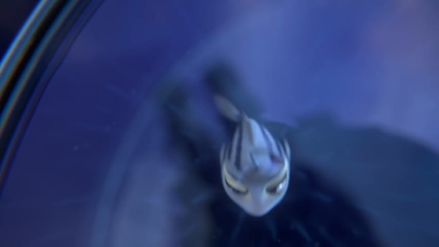 Claras Enlightenment