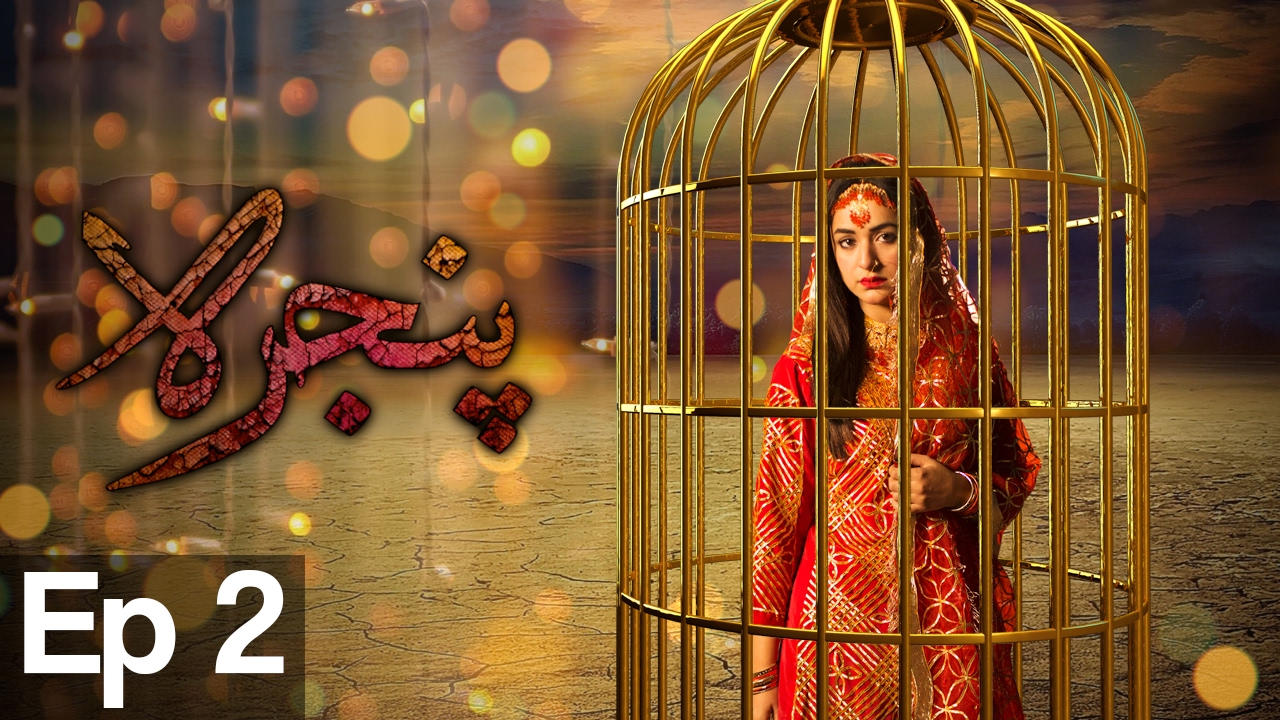 Pinjra - Episode 2 |  Aplus