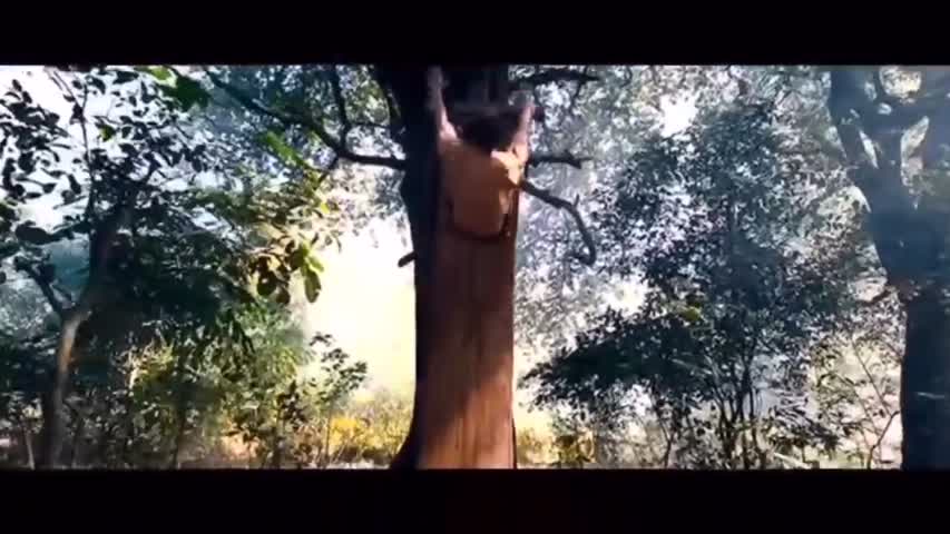 Commando 2 Trailer Akshay Kumar & Vidyut Jammwal