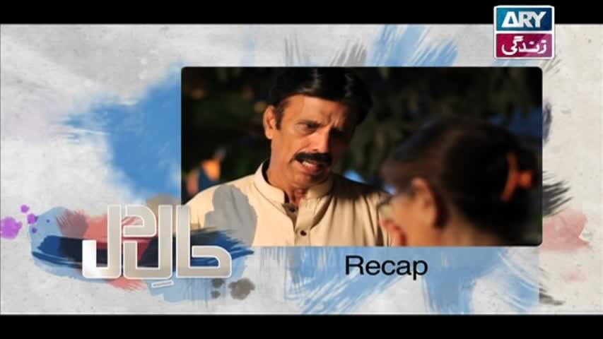 Haal-e-Dil Ep 29 - ARY Zindagi Drama